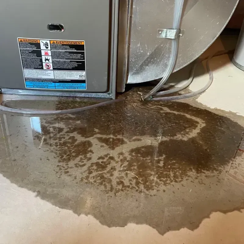 Appliance Leak Cleanup in Grill, PA